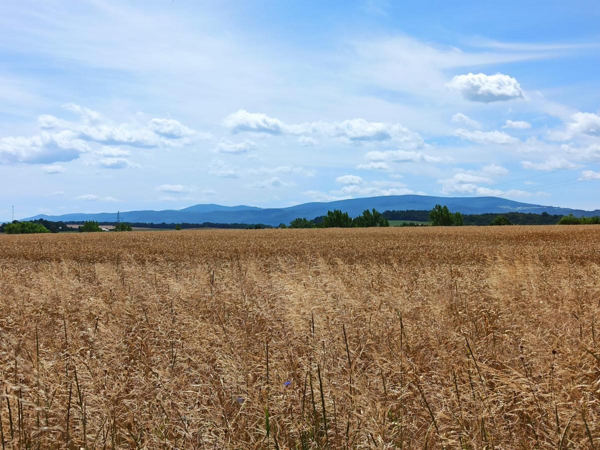 Apartamento Sówka Świdnica